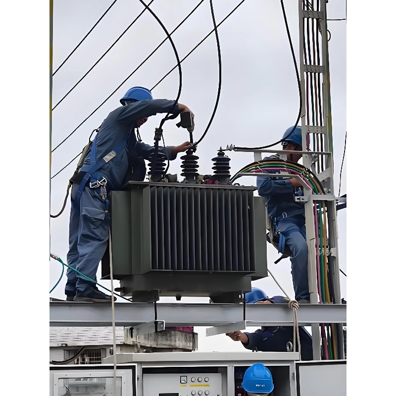 Euro Grid Liquid Immersed Tran - Heavy Equipment Supplier recensione e prezzo
